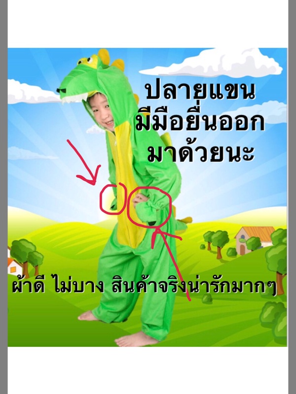 ชุดไดโนเสาร์ dinosaur